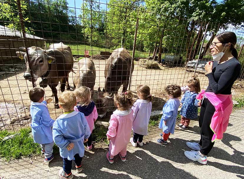 uscite sul territorio - scuola materna primaria